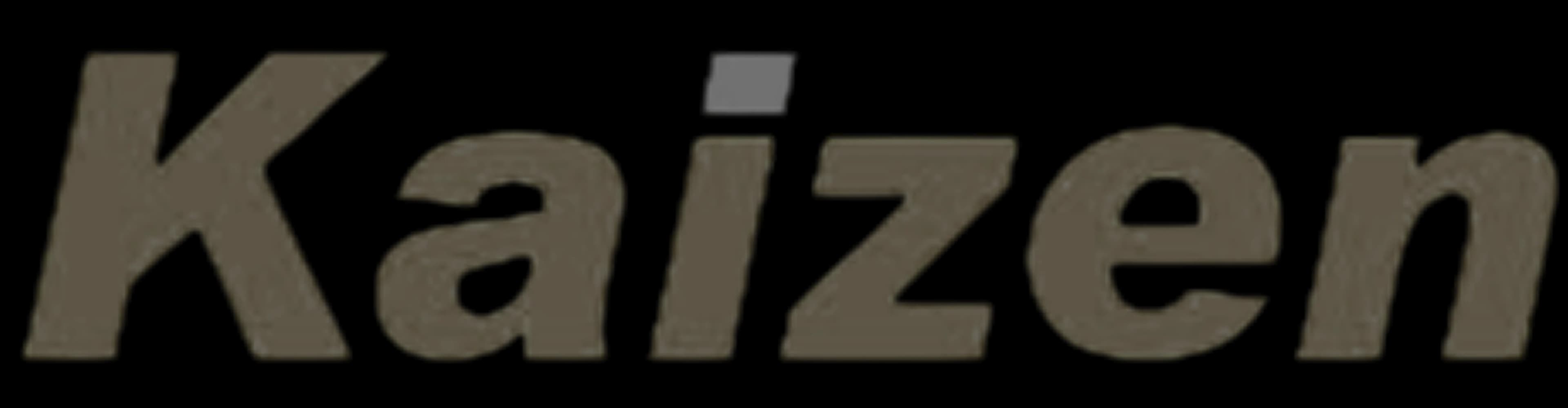 kaizen infoserv